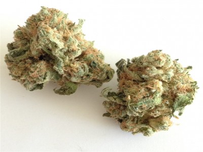 Buy White Widow marijuana strain Online